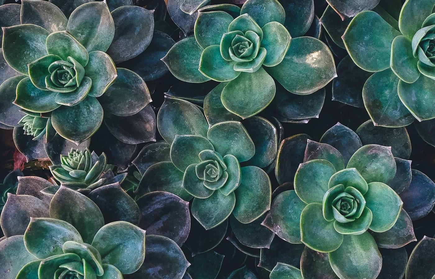 Компания командасының кездесуі