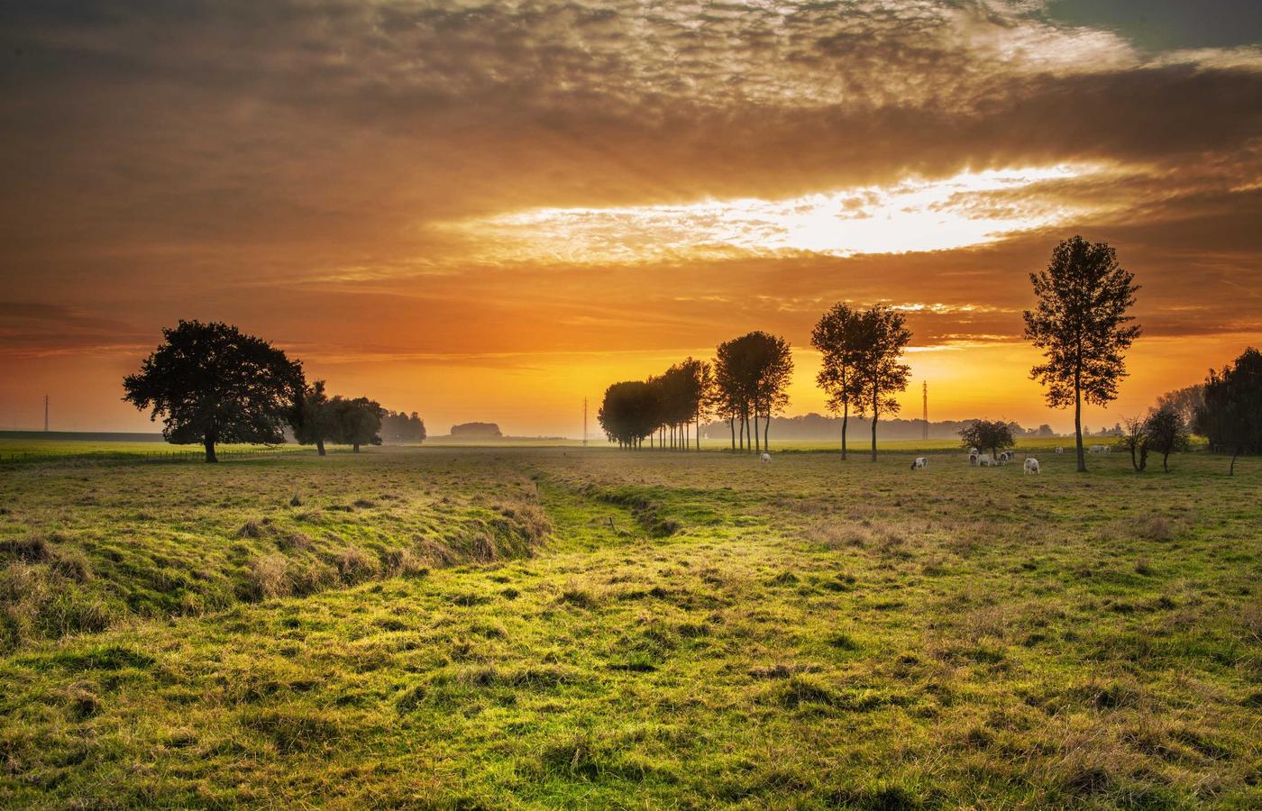 Жанар Ахметова