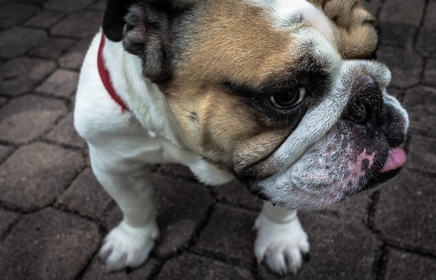 Тереңдетілген тазалау кезіндегі ас үй